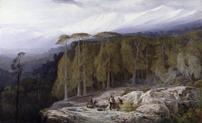 The Forest of Valdoniello, Corsica by Edward Lear
